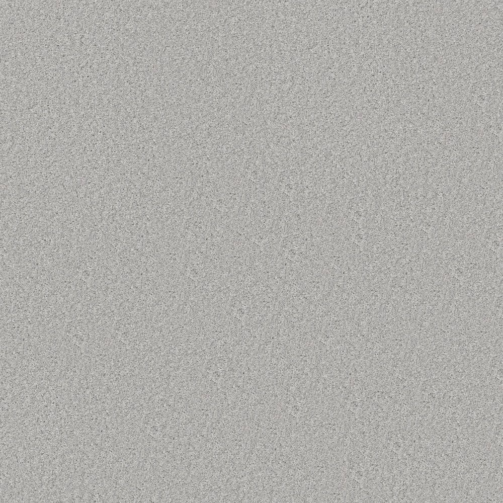 8 in. x 8 in. Texture Carpet Sample - Gifted Moments I - Color Adobe price history on PriceWatchPro