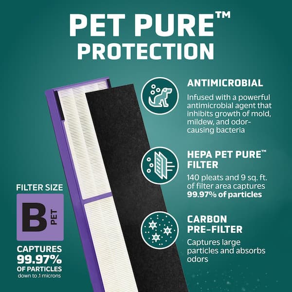 True HEPA with Pet Pure Treatment GENUINE Replacement Filter B for AC4300/AC4800/4900 Series