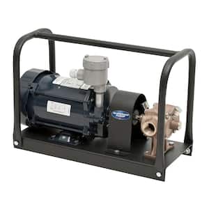 1/2 HP Explosion Proof Transfer Kit with BP21X Bronze Transfer Pump