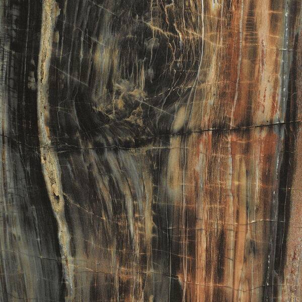 FORMICA 4 ft. x 8 ft. Laminate Sheet in 180fx Petrified Wood with Etchings Finish
