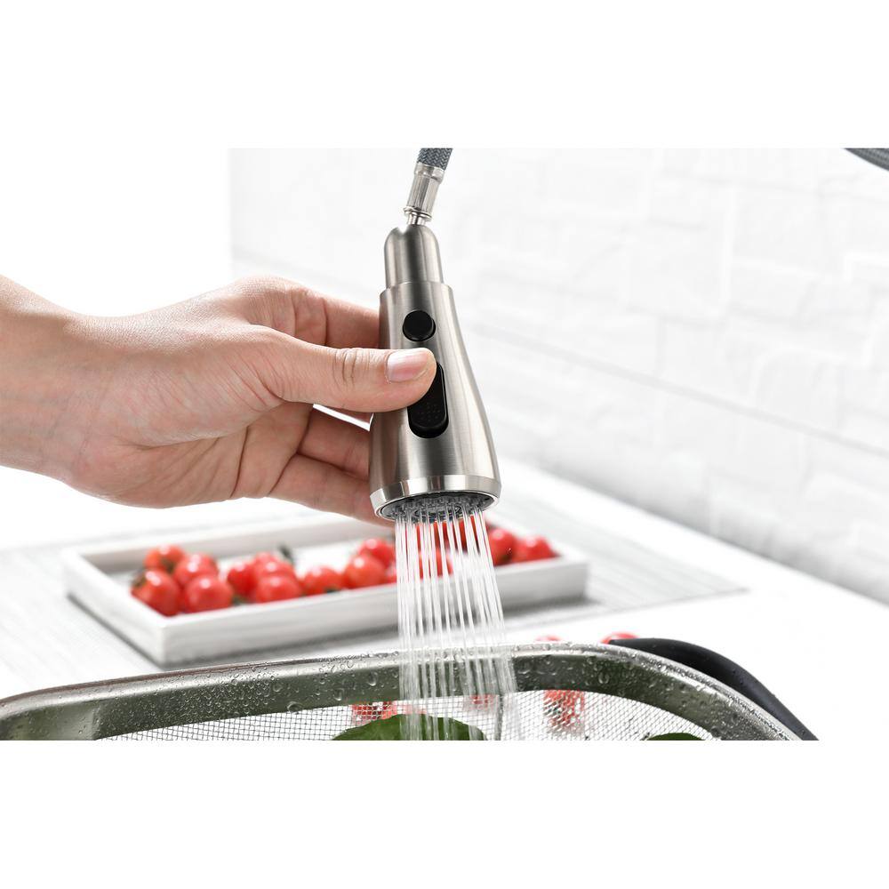 Brushed Nickel Single Handle Pull-Out Spray Kitchen Faucet