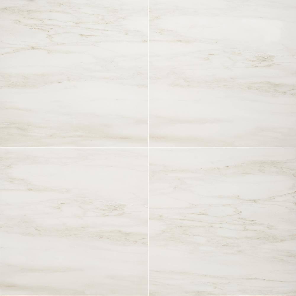 Saroshi Dolomite Snow 4 in. x 0.31 in. Matte Marble Look Porcelain Floor and Wall Tile Sample price history on PriceWatchPro