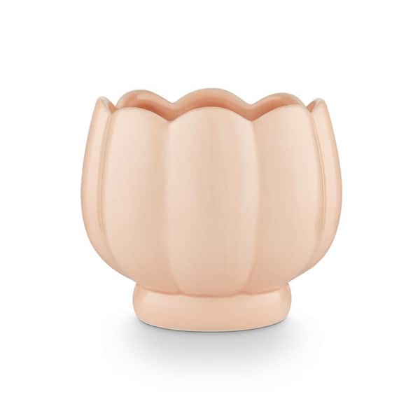 7.8 fl. oz. Wild Rose Petal Scented Candle 1-Pack