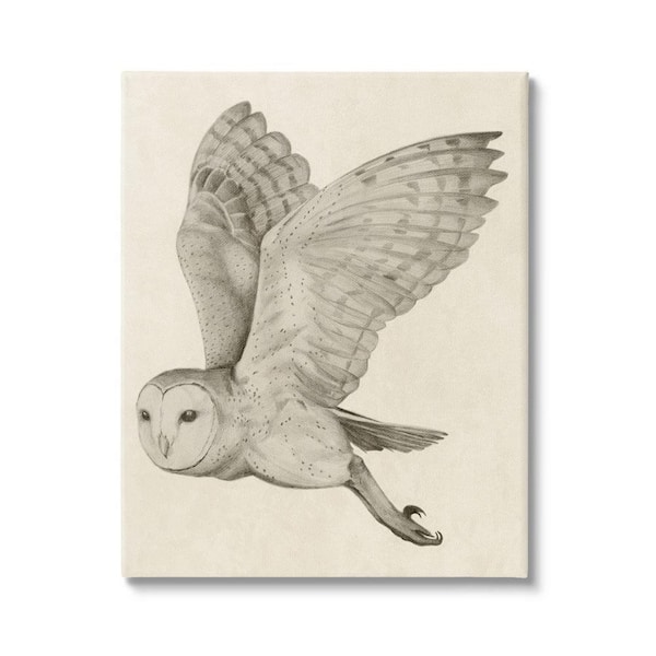 realistic barn owl art