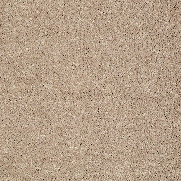 TrafficMaster 8 in. x 8 in. Texture Carpet Sample - Alpine - Color Meditation