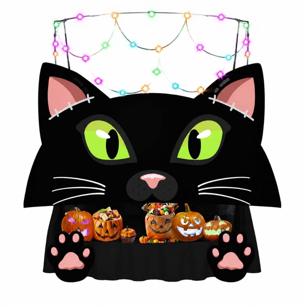 Black Cat Halloween Car Decoration Kit for Trunk or Treat, SUV, Garage Door and Entryway Party Display price history on PriceWatchPro