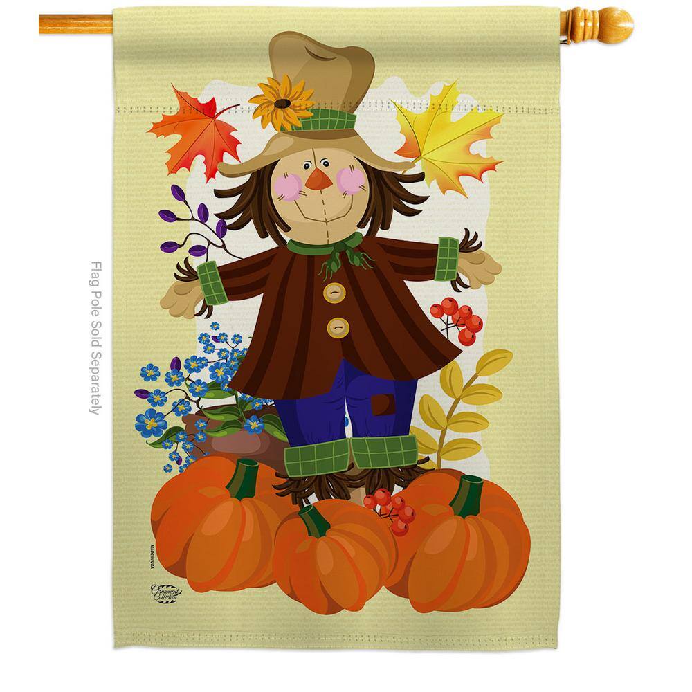 28 in. x 40 in. Autumn Scarecrow Fall House Flag Double-Sided Decorative Vertical Flags price history on PriceWatchPro