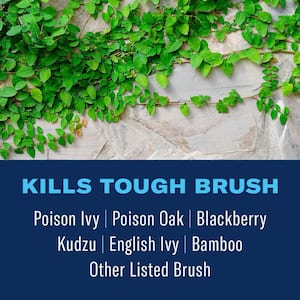 1.3 Gal Ready-to-Use Extended Control Brush Killer