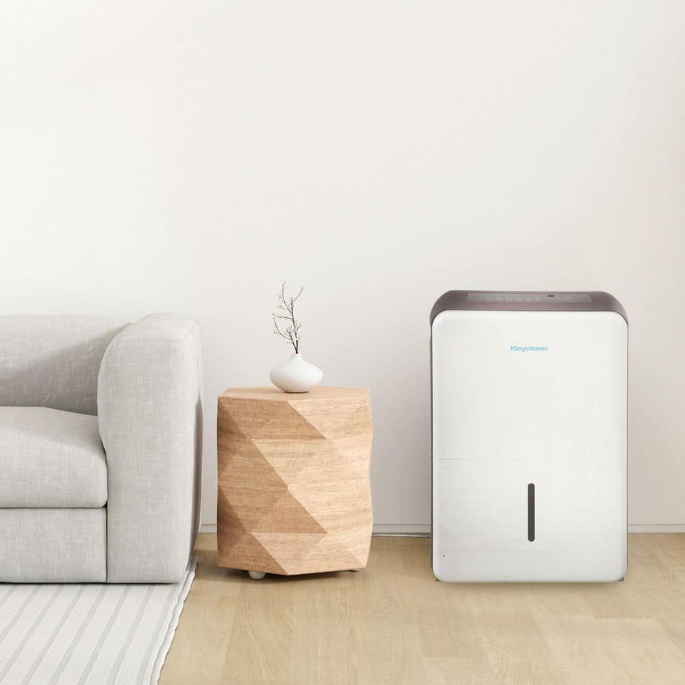 Energy Star White Portable Dehumidifier with Humidistat