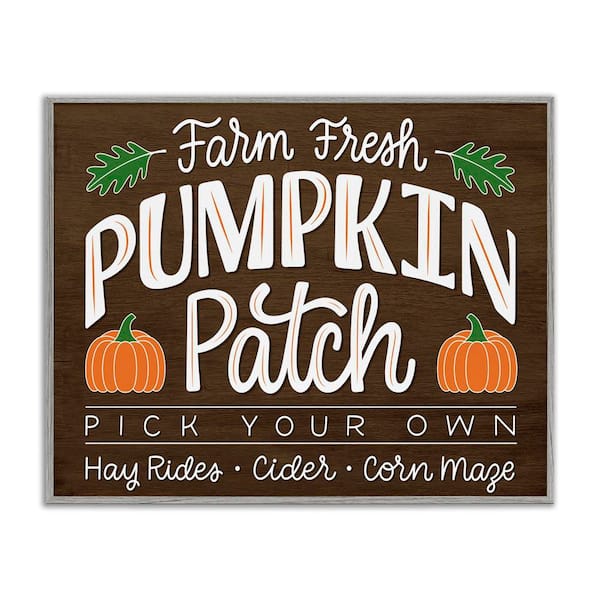 Stupell Industries Farm Fresh Pumpkin Patch Sign by Jalynn Heerdt Gray Framed Graphic Typography Art Print 24 in. x 30 in.