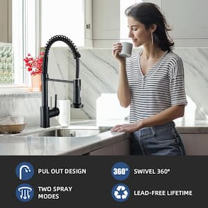 Single-Handle Pull Down Sprayer Coil Spring High-Arc Kitchen Faucet with Deckplate Sink Faucet in Matte Black