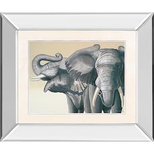 "Elephant" By Peter Moustakas Mirror Framed Print Wall Art 26 in. x 22 in.