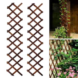 68 in. W x 13 in. H Expandable Garden Trellis, Wooden Lattice Wall Fence Trellis 2-Pieces