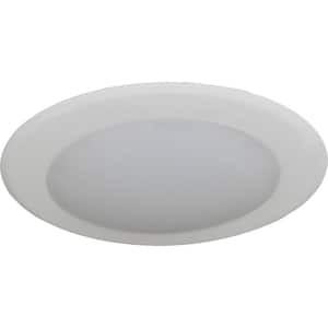 Mini 1-Light White Aluminum LED Indoor/Outdoor Ceiling Surface Flush Mount/Wall Sconce with Frosted Lens, Round Trim