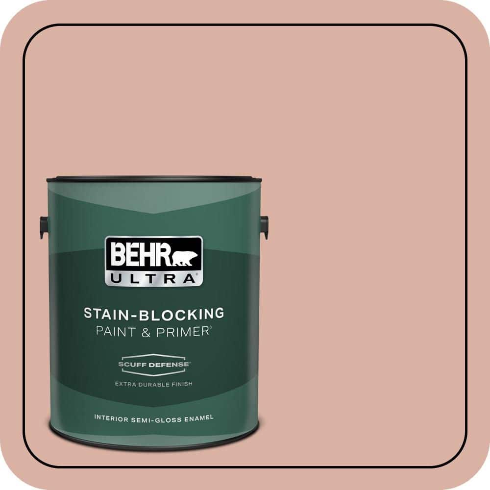1 gal. #210F-4 Cinnamon Whip Extra Durable Semi-Gloss Enamel Interior Paint & Primer price history on PriceWatchPro