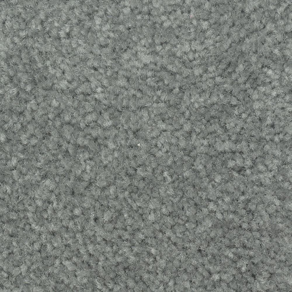 8 in. x 8 in. Texture Carpet Sample - Mason II -Color Paradise price history on PriceWatchPro