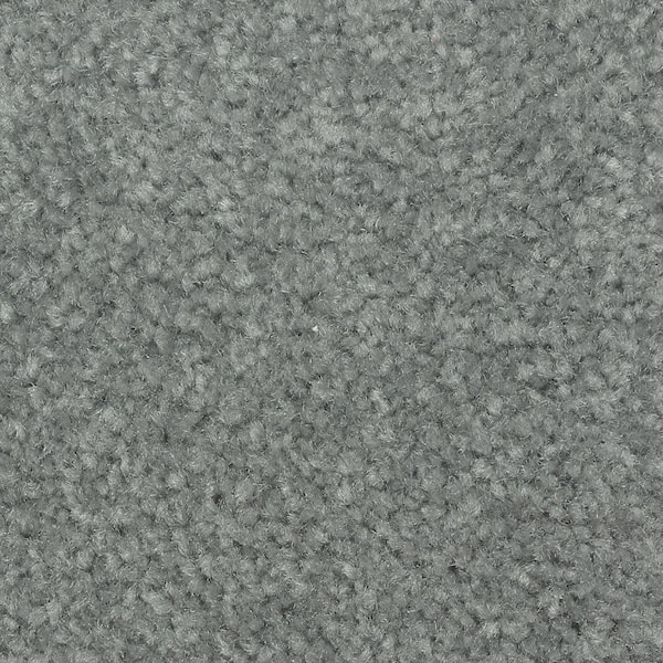 Lifeproof 8 in. x 8 in. Texture Carpet Sample - Mason II -Color Paradise