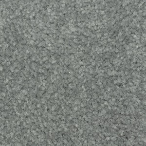 Mason II  - Paradise - Green 54 oz. Triexta Texture Installed Carpet