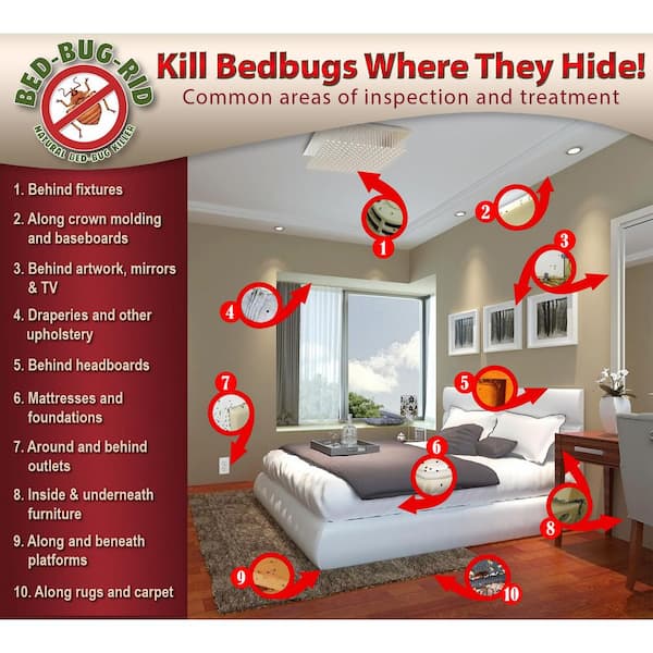 Bed Bug Services
