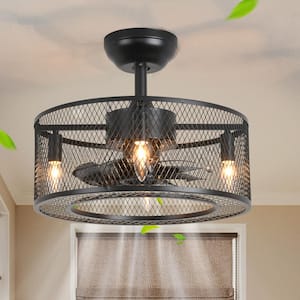 17 in. Black Indoor Ceiling Fan Caged Ceiling Fan with Lights and Remote Enclosed Ceiling Fan