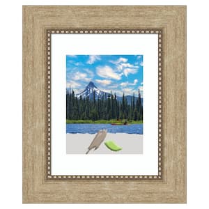 Astor Champagne Picture Frame Opening Size 11 x 14 in. (Matted To 8 x 10 in.)