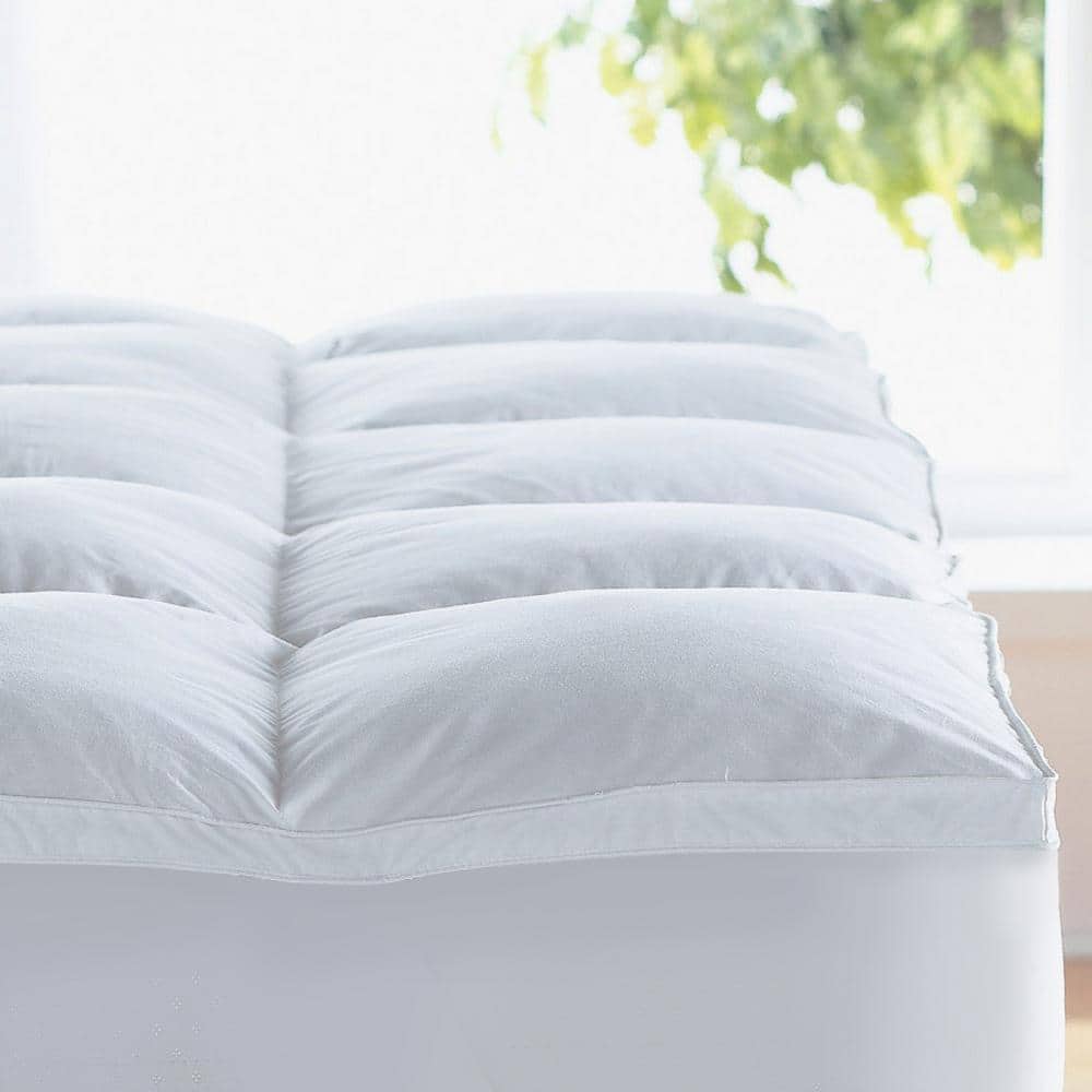 2 in. 300-Thread Count 100% Egyptian Cotton Hypoallergenic Down Alternative
