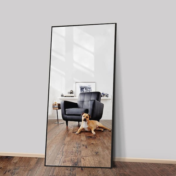 Full Length Floor Mirror 65x22 Black With Stand