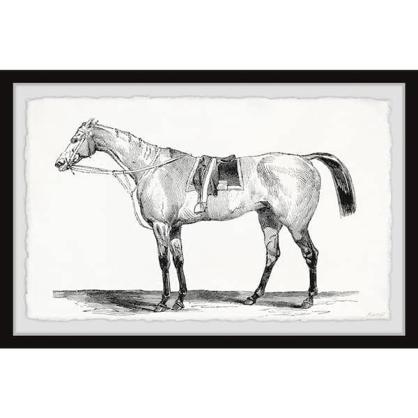 Unbranded "Ready for the Ride" by Marmont Hill Framed Animal Art Print 30 in. x 45 in.