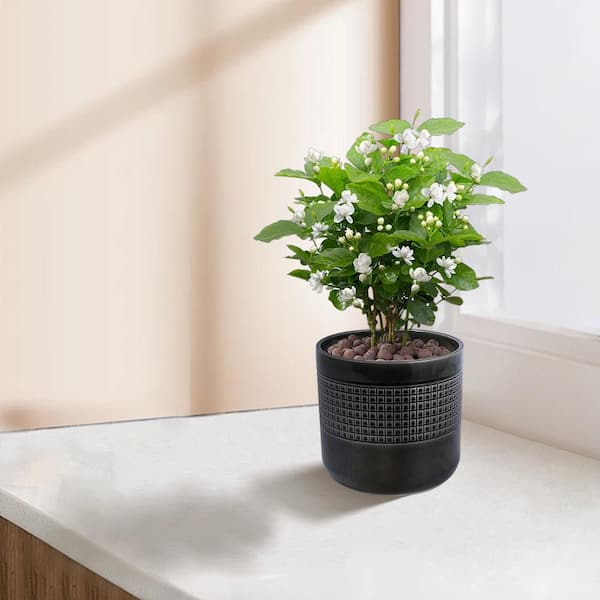 Set of 3 9.65 in. Round Black Ceramic Flower Pot with Drainage-Frost Resistant Planter for Indoor Outdoor