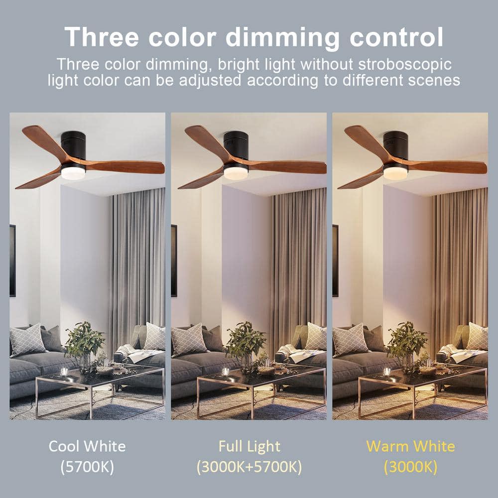 52" Walnut and Black Wood Blade Ceiling Fan with Remote and Light