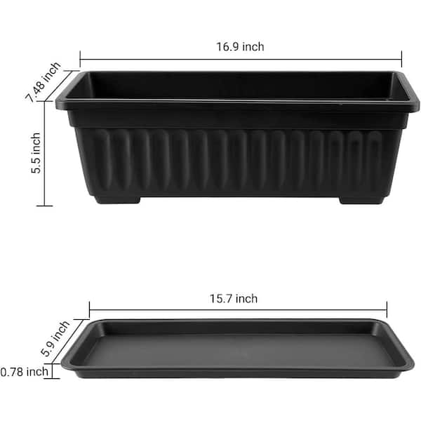 Black Base Rectangular 3-Compartment Container 250 Pieces