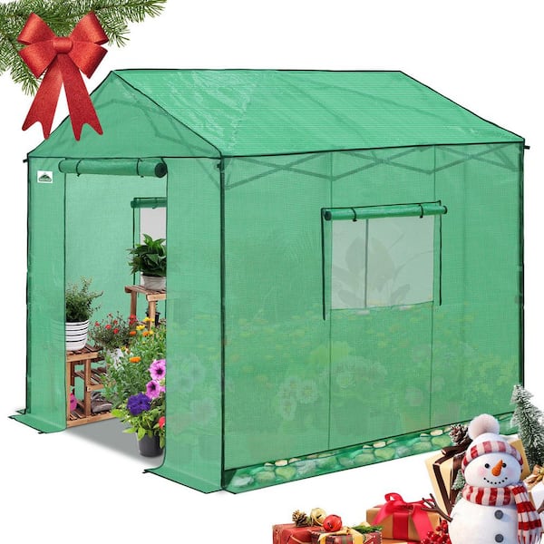 8 x 8 Portable Pop-Up Greenhouse, Walk-In Outdoor Garden Plant Greenhouse