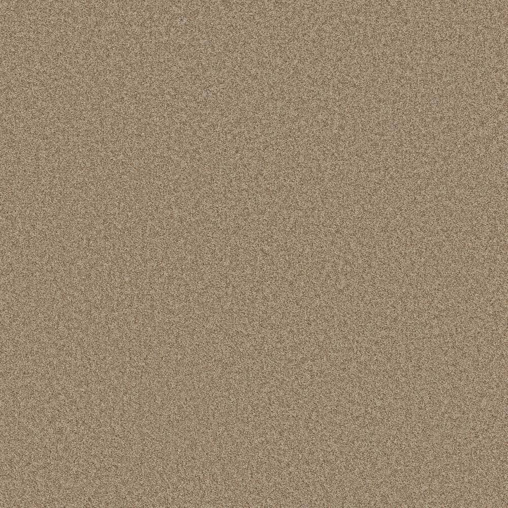 8 in. x 8 in. Texture Carpet Sample - Coastal Charm II -Color Espresso price history on PriceWatchPro