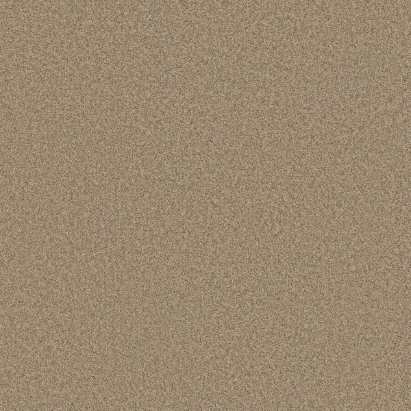 Lifeproof 8 in. x 8 in. Texture Carpet Sample - Coastal Charm II -Color Espresso