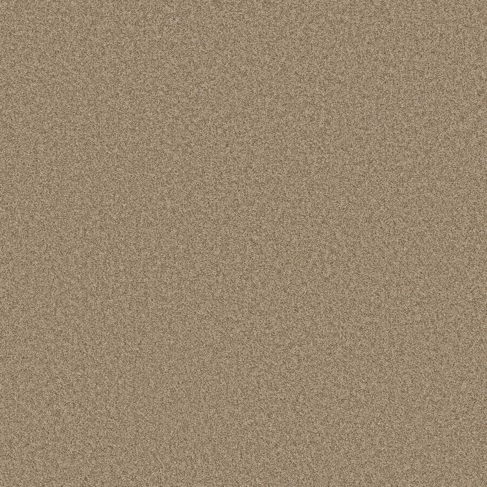 8 in. x 8 in. Texture Carpet Sample - Coastal Charm I -Color Espresso price history on PriceWatchPro