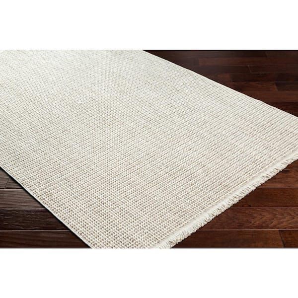 Raisa Cream/Beige 5 ft. x 7 ft. Texture Indoor Area Rug