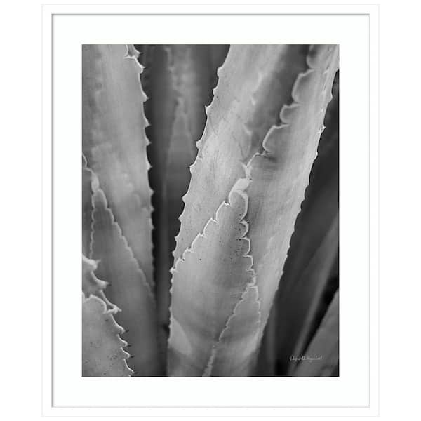 Amanti Art "Abstract Agave I" by Elizabeth Urquhart 1 Piece Wood Framed Black and White Nature Photography Wall Art 33-in. x 27-in.