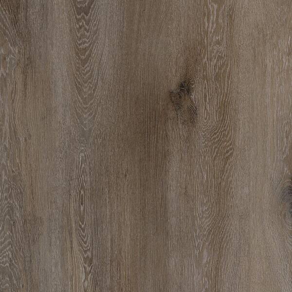 Lifeproof Take Home Sample - Alexandria Oak Luxury Vinyl Plank Flooring - 4 in. x 4 in.