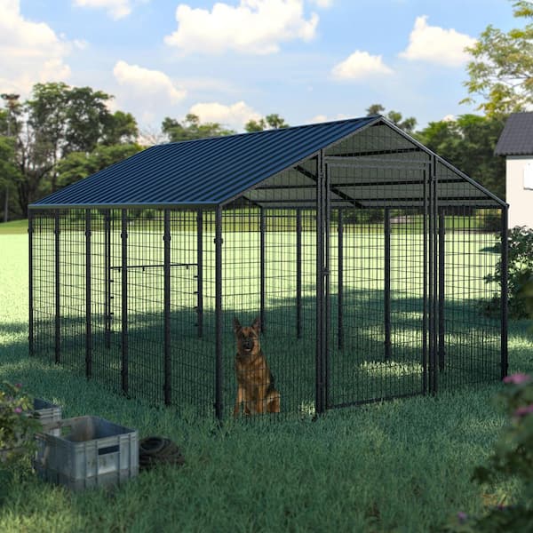 8 ft. x 10 ft. Outdoor Large Dog Kennel Chicken Coop with Galvanized Metal Roof for Medium and Large Dogs