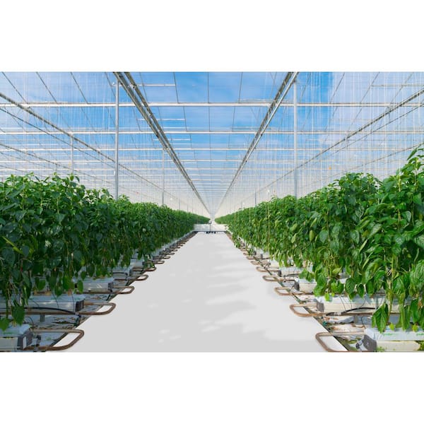 G-Floor GrowFloor Absolute White Ceramic High Gloss 5 ft. x 10 ft. Commercial Vinyl Sheet