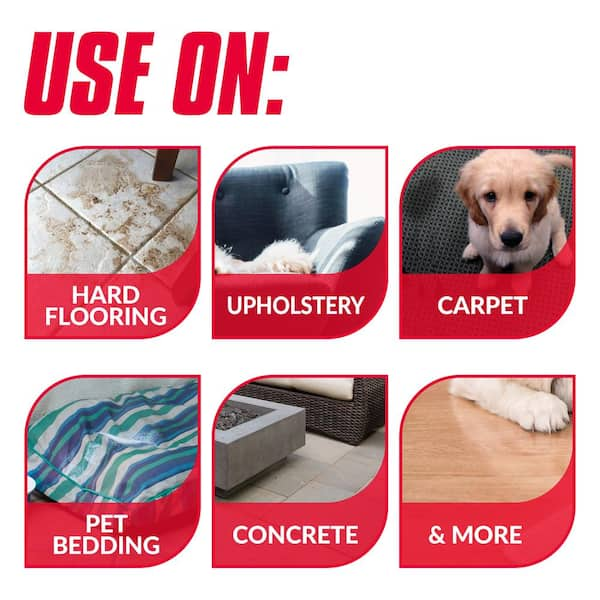 How Do You Remove Dog Bile From Carpet