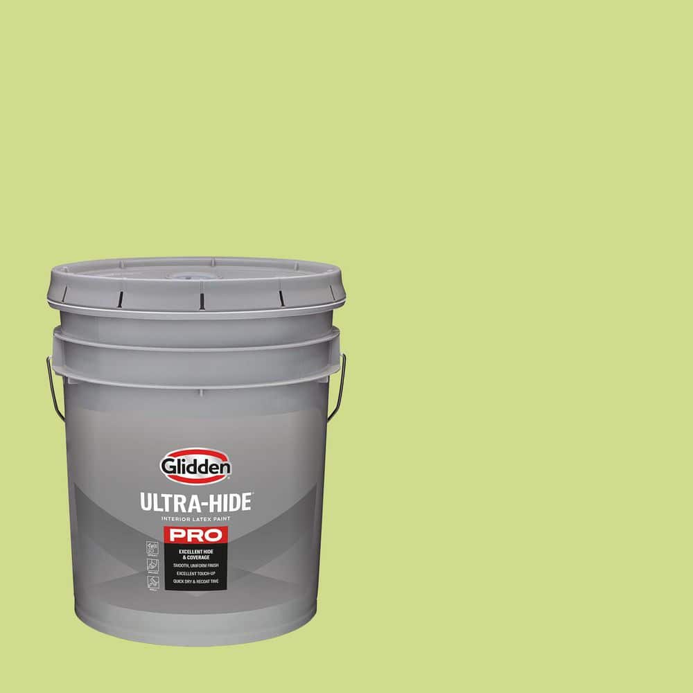 1 gal. PPG1217-5 Lime Splash Semi-Gloss Interior Paint price history on PriceWatchPro