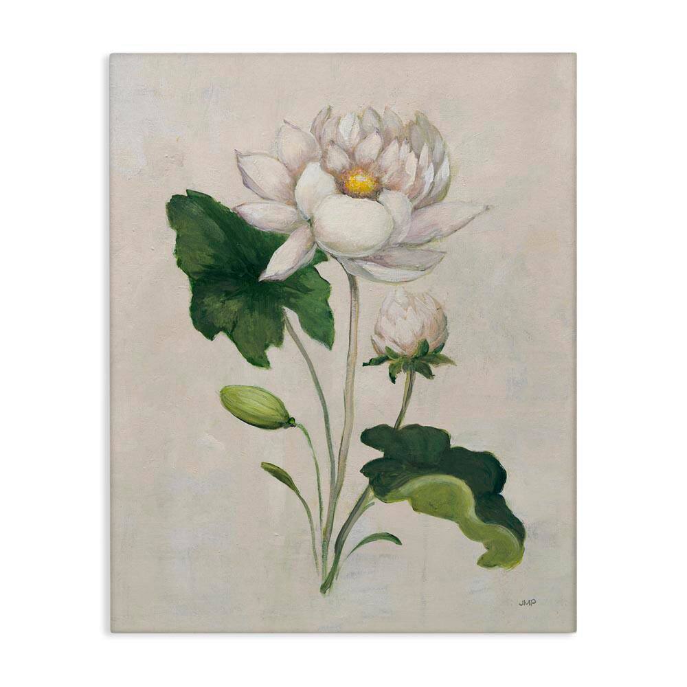 Graceful Budding Lily by Julia Purinton Unframed Nature Graphic Art Print 48 in. x 36 in. price history on PriceWatchPro