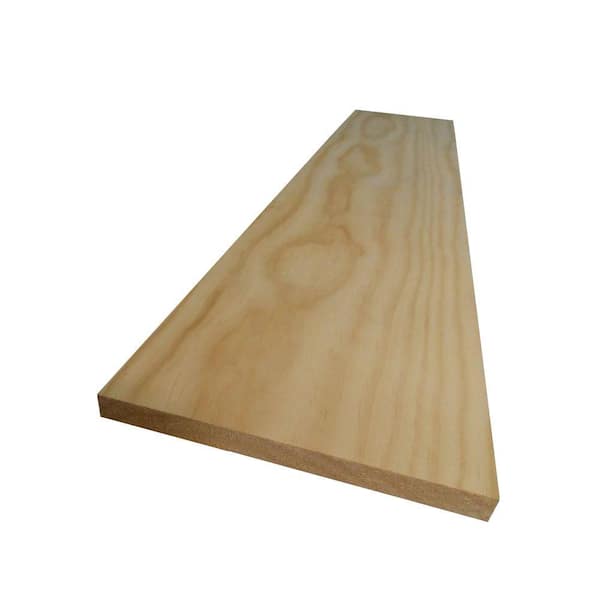 Unbranded 1 in. x 10 in. x 8 ft. Select Pine Board