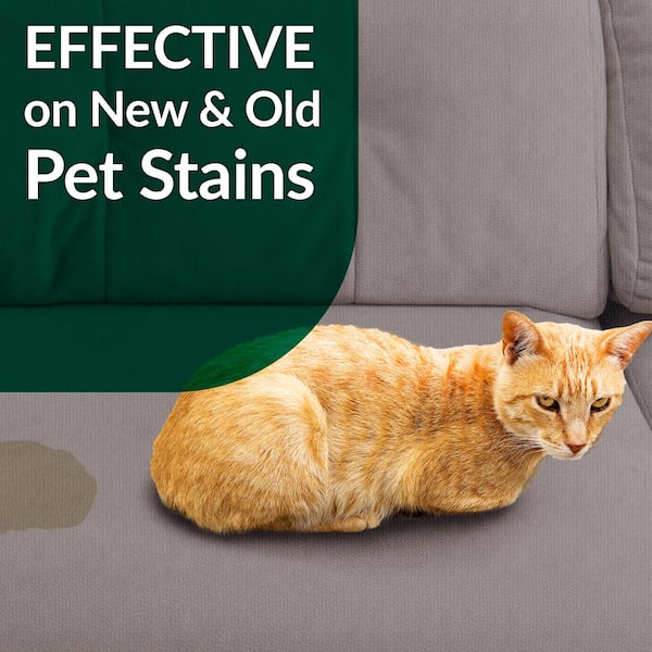 Simple Green 128 oz. Cat Pet Stain and Odor Remover 2000000115312 - The  Home Depot