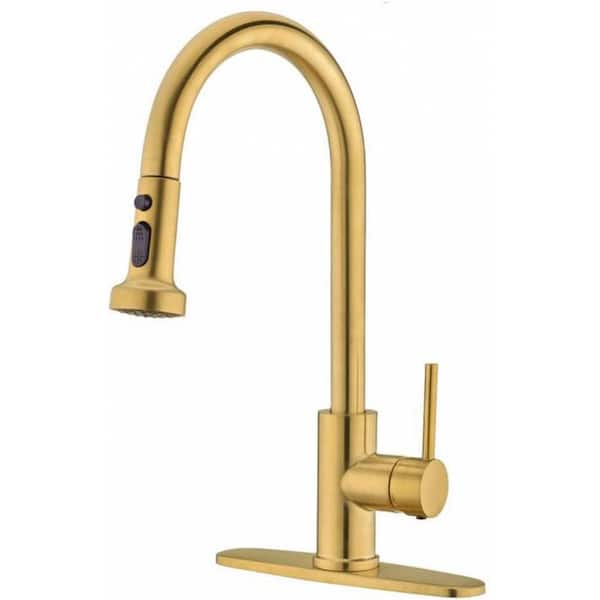 Unbranded Roxy Single handle Deck Mount Standard Kitchen Faucet 3.46 in. W Gold 16GS-34301