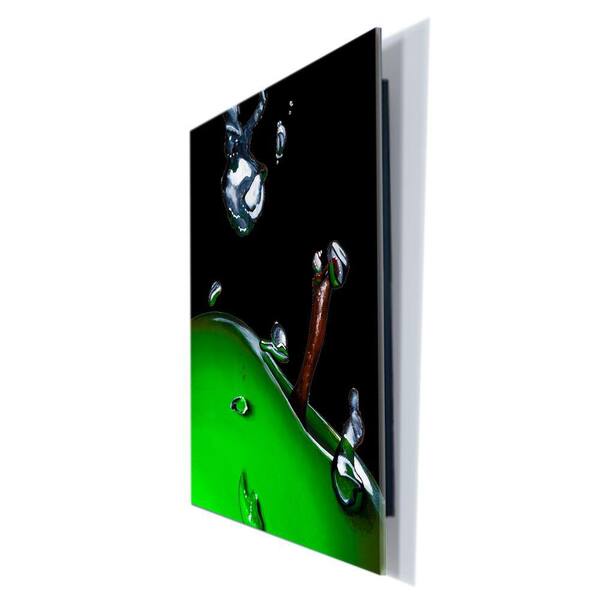 Trademark Fine Art 18 in. x 24 in. "Granny Splash" by Roderic Stevens Printed Acrylix Wall Art