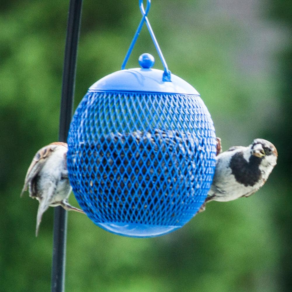 Colorful Metal Mesh Hanging Bird Feeders Set of 3