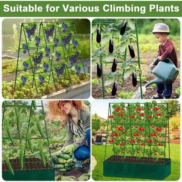 Climbing Plants Plastic Climbing Frames For Small Gardens 12 Pack Mini  Garden Trellis For Climbing Plants,