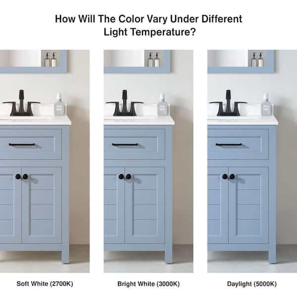 Home Decorators Collection Hanna 24 in. Single Sink Spruce Blue